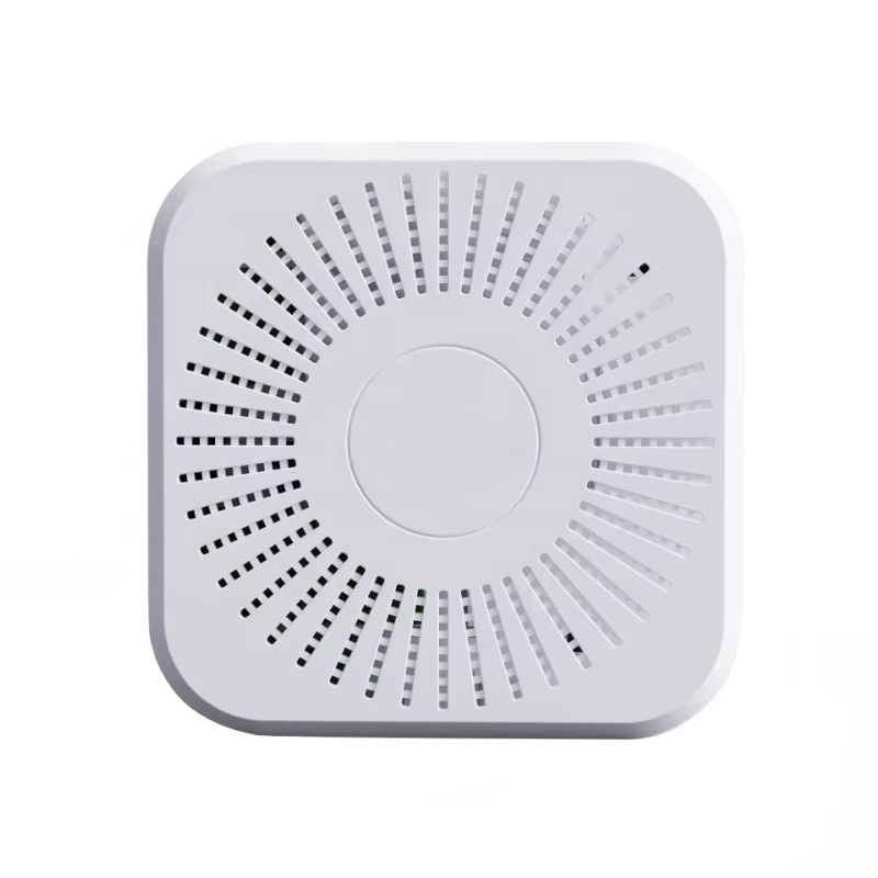 LoRaWAN WiFi 4G Hava İzleme Se - Vaping Air incelemesi ve fiyatı